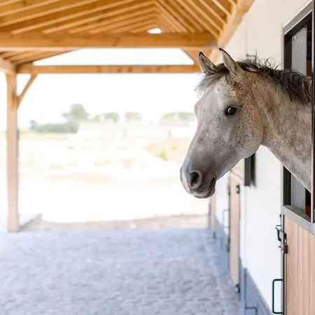 Quick - Charming Double At Ranch De Blauwe Zaal